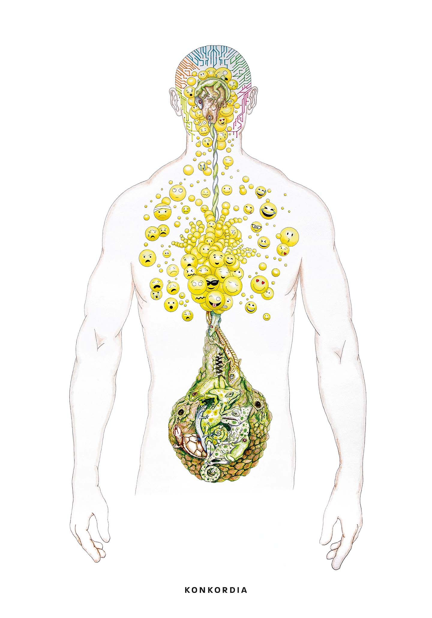 Køb Bruce af Konkordia - Pris 250.00 kr. Køb Bruce af Konkordia - Pris 250.00 kr.