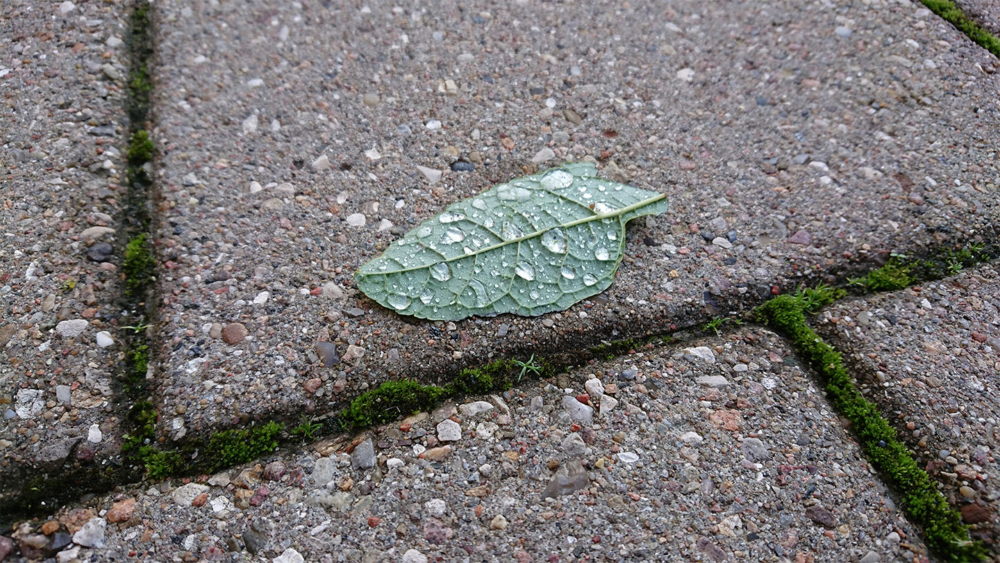 Life is Beautiful #110 af Heini Grünbaum