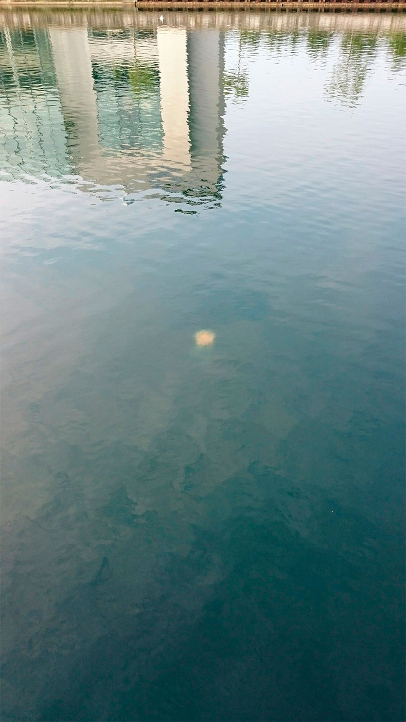 Life is Beautiful #49 af Heini Grünbaum