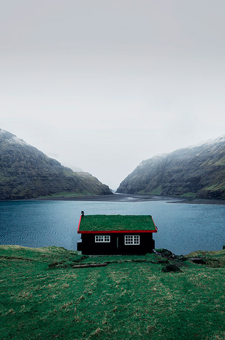 Image of Mist And Snow af Mikkel Beiter