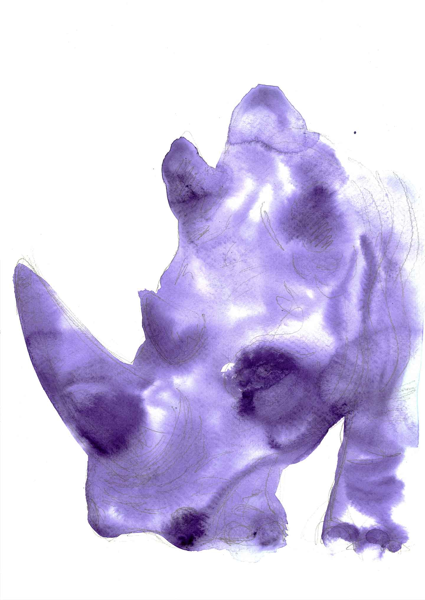 Rhino af Tina Seirup Nielsen