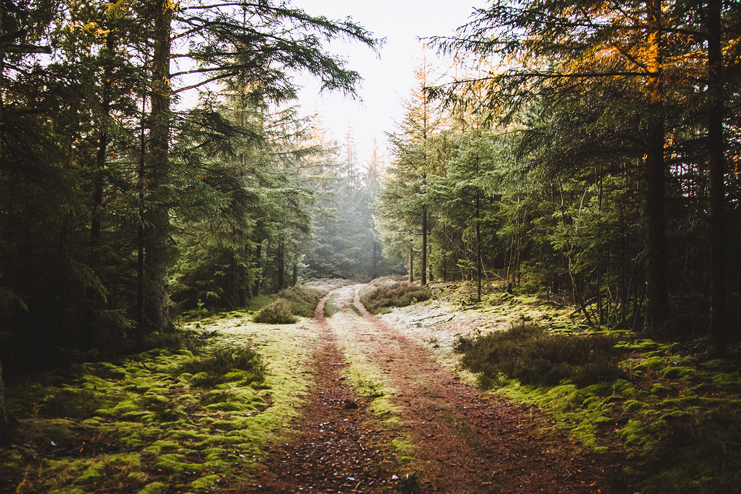 Køb Nationalpark Thy I af Torben Hedegaard - Pris 189.00 kr. Køb Nationalpark Thy I af Torben Hedegaard - Pris 189.00 kr.