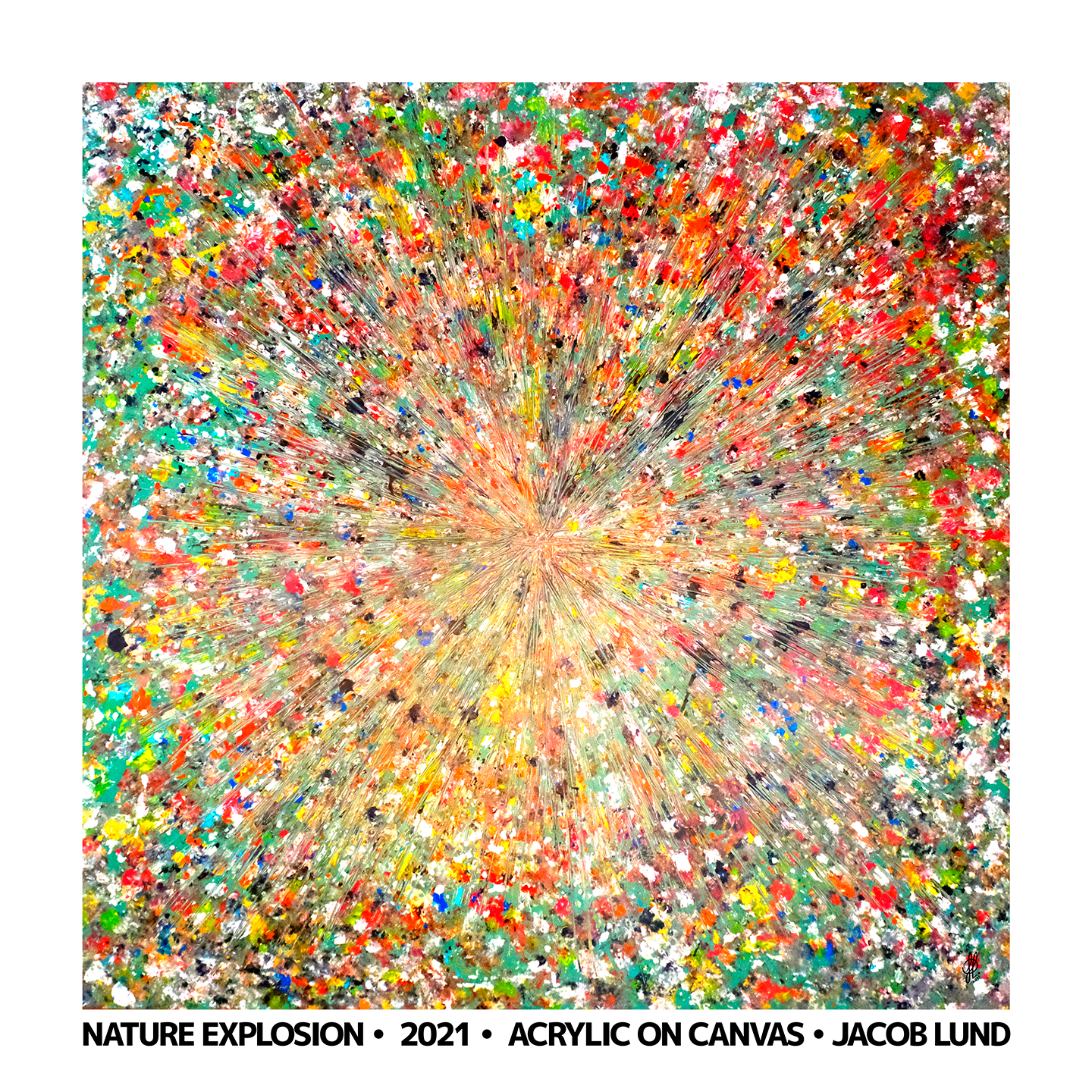 Se Nature Explosion poster af Jacob Lund Art hos Illux.dk