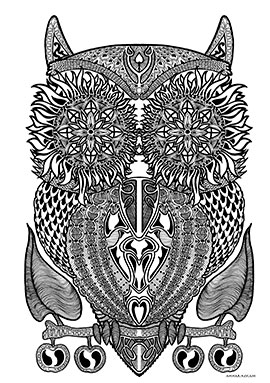 Image of Owl af Ammar Keylani