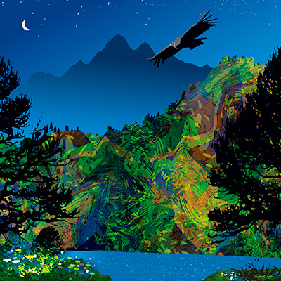 Image of Peruvian Night af Greg Joy