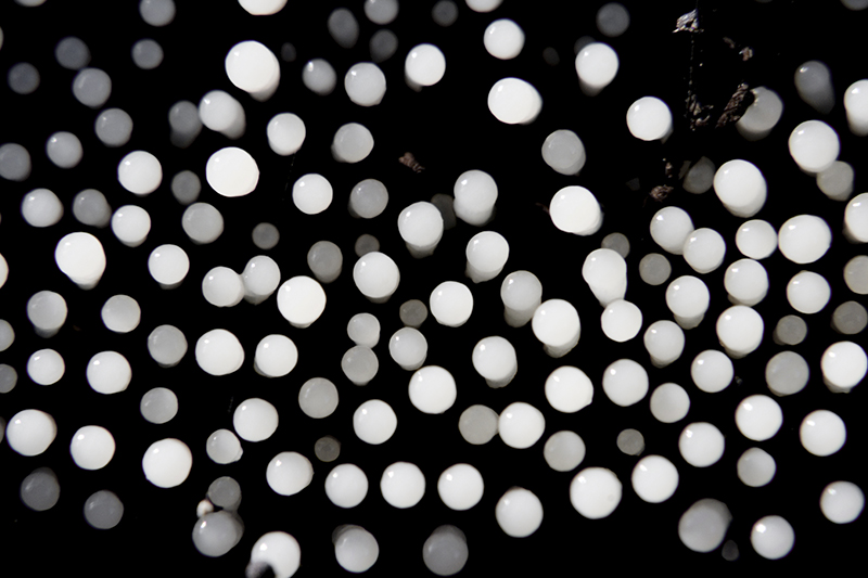 Image of Petite Pattern af Andreas Mørck