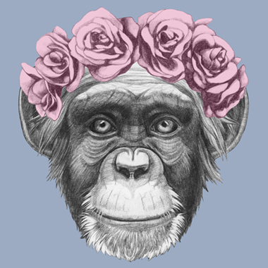 Se Pretty Little Monkey af Illux hos Illux.dk