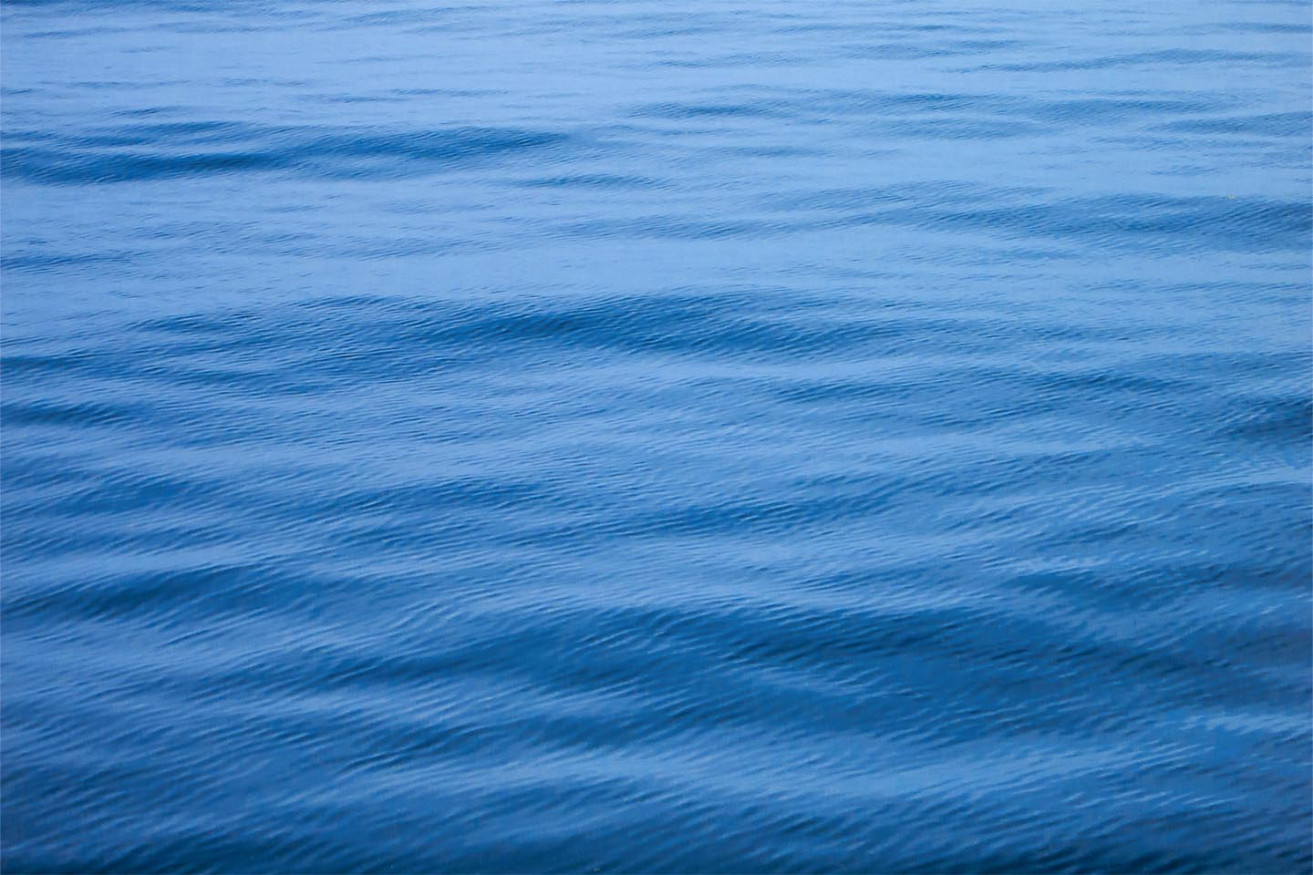 Køb Ripples on a calm sea af Rasmus Gundorff Sæderup - Pris 250.00 kr.