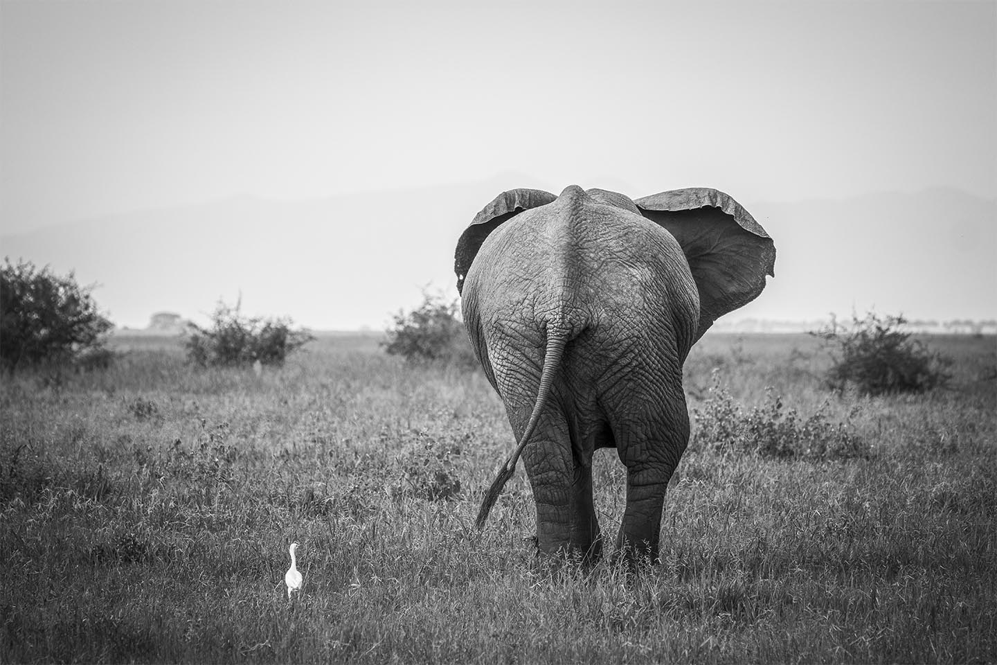 Køb Into the unknown - Different but together af Rasmus Gundorff Sæderup - Pris 250.00 kr.
