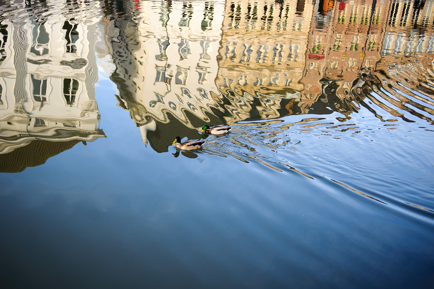 Billede af Reflection in Ghent af Julie Aucoin