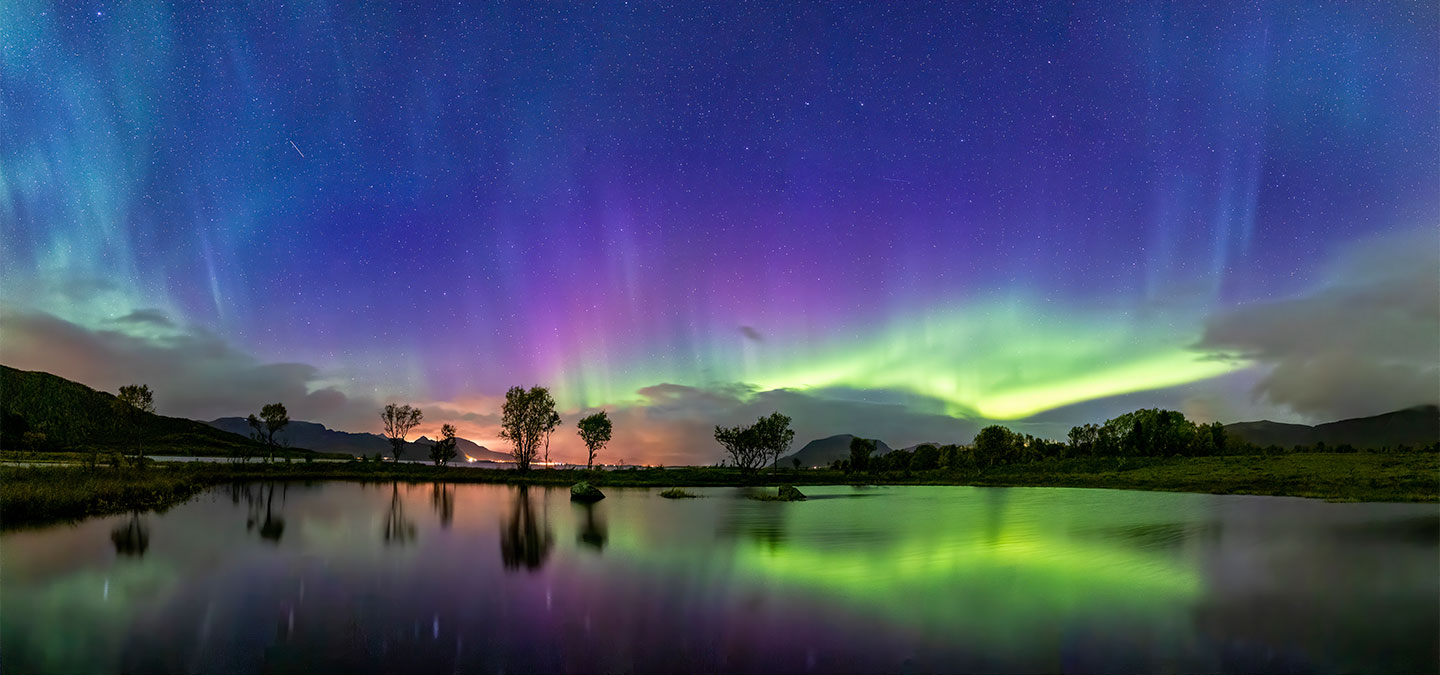 Billede af Reflections in the pond af Frank Olsen