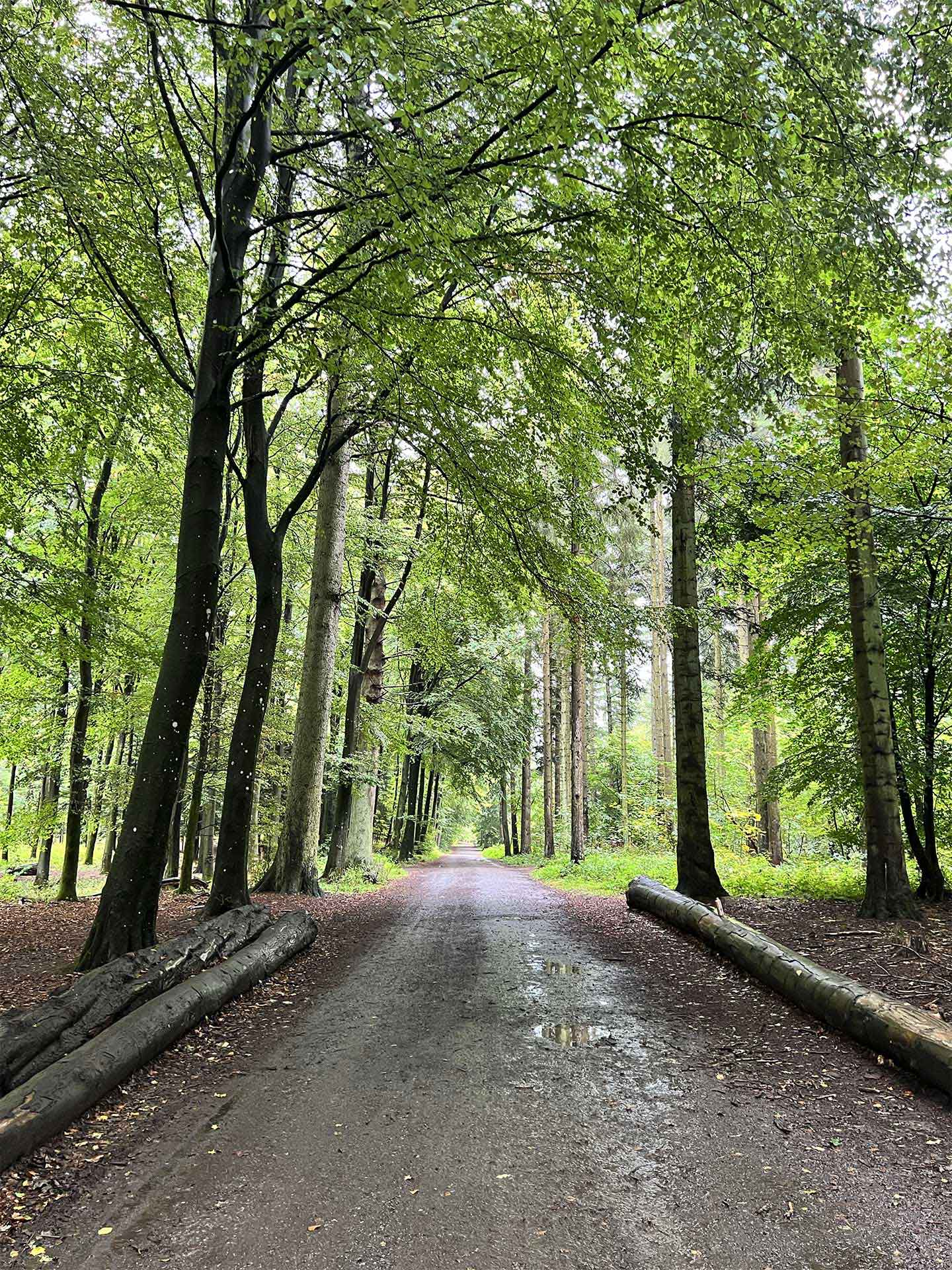 Køb Regnvejrsdag af Heart Notes - Pris 250.00 kr.