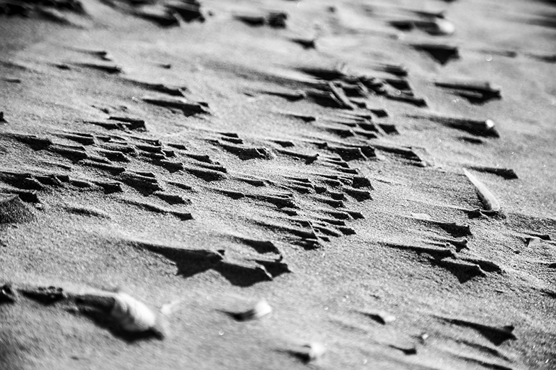 Image of Sand Sails af Andreas Mørck