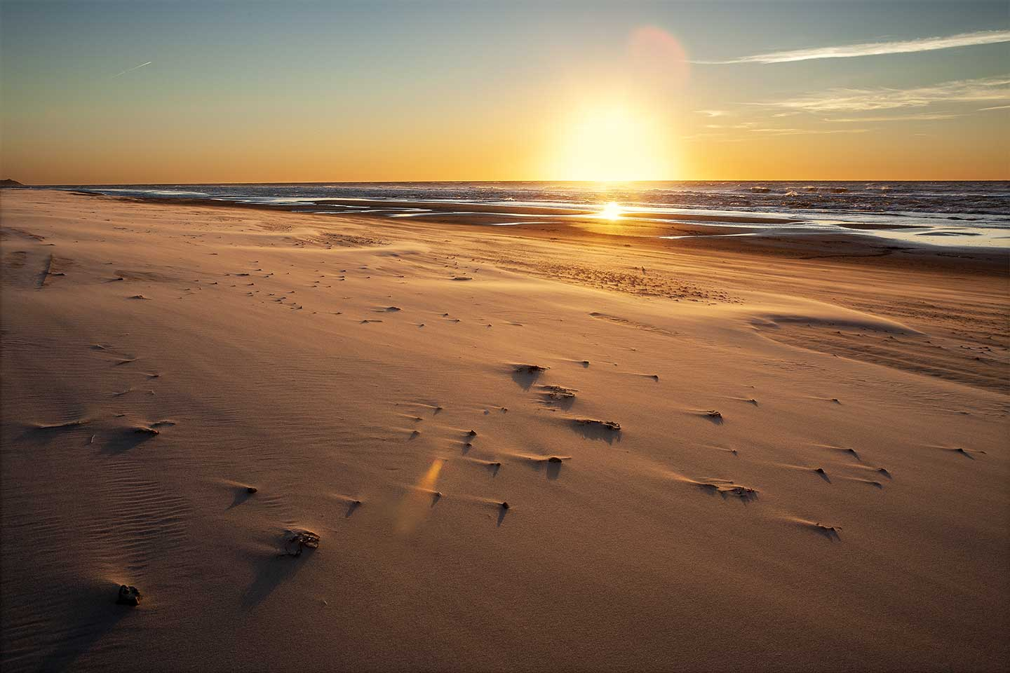Køb Sandflugt af Jørgen Bausager - Pris 189.00 kr. Køb Sandflugt af Jørgen Bausager - Pris 189.00 kr.