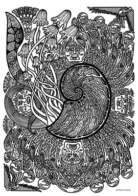 Image of Sea Shell Fin af Ammar Keylani