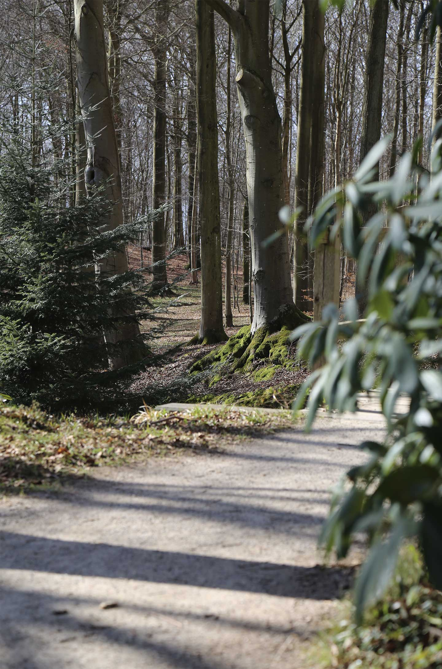 Køb Skovens dybde af Heart Notes - Pris 250.00 kr. Køb Skovens dybde af Heart Notes - Pris 250.00 kr.