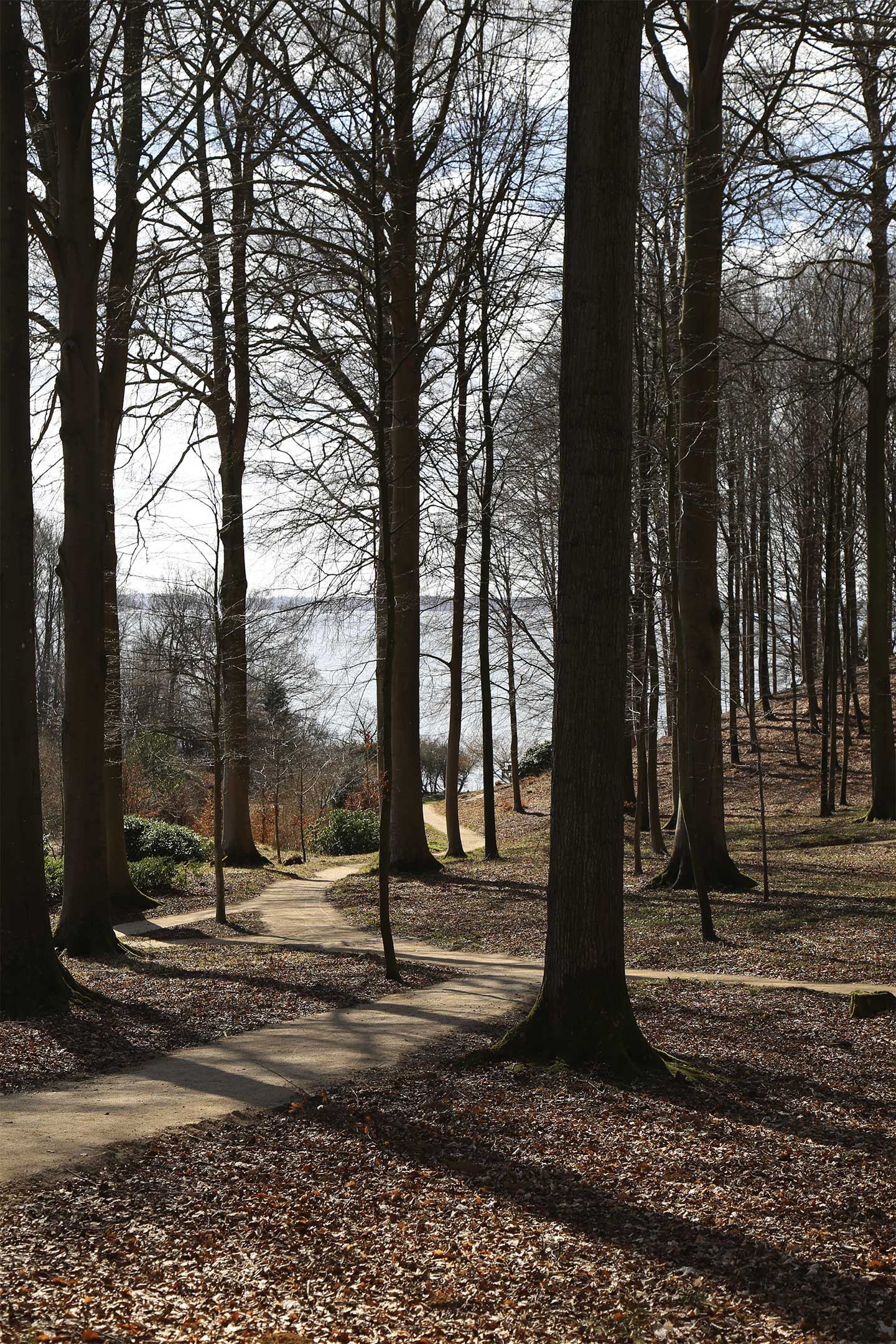 Køb Skovens mange stier af Heart Notes - Pris 250.00 kr. Køb Skovens mange stier af Heart Notes - Pris 250.00 kr.