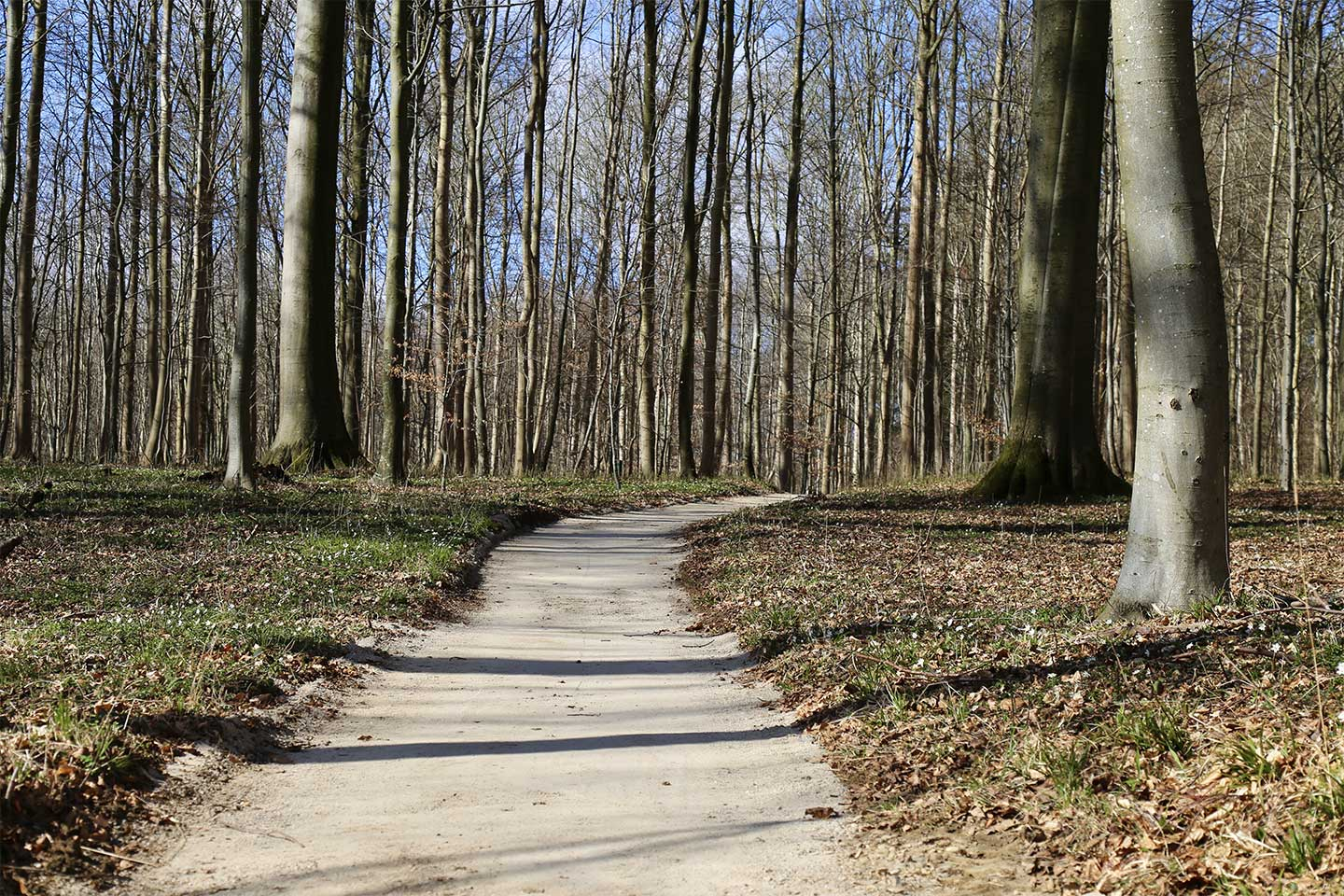 Køb Skovsti af Heart Notes - Pris 250.00 kr. Køb Skovsti af Heart Notes - Pris 250.00 kr.