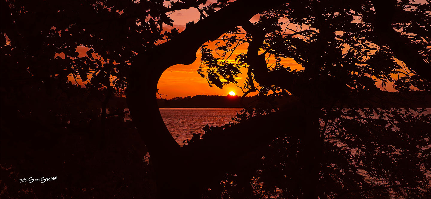 Køb Solnedgang & Hjerteform af FotoS by SRose - Pris 250.00 kr. Køb Solnedgang & Hjerteform af FotoS by SRose - Pris 250.00 kr.