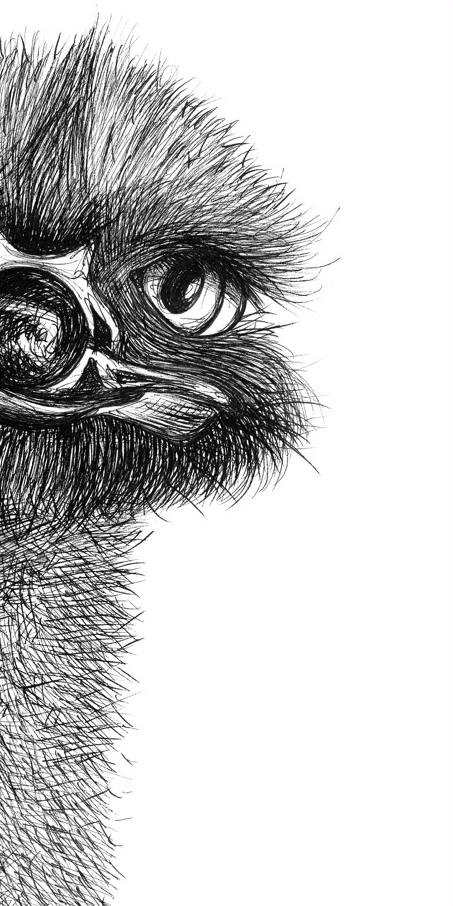 Køb Strudsen Ruth af Tina Seirup Nielsen - Pris 246.00 kr. Køb Strudsen Ruth af Tina Seirup Nielsen - Pris 246.00 kr.