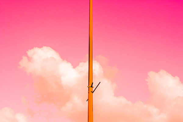 Image of The Pink Half af Tal Paz-Fridman