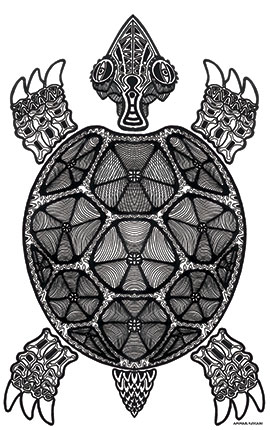 Image of Turtle af Ammar Keylani