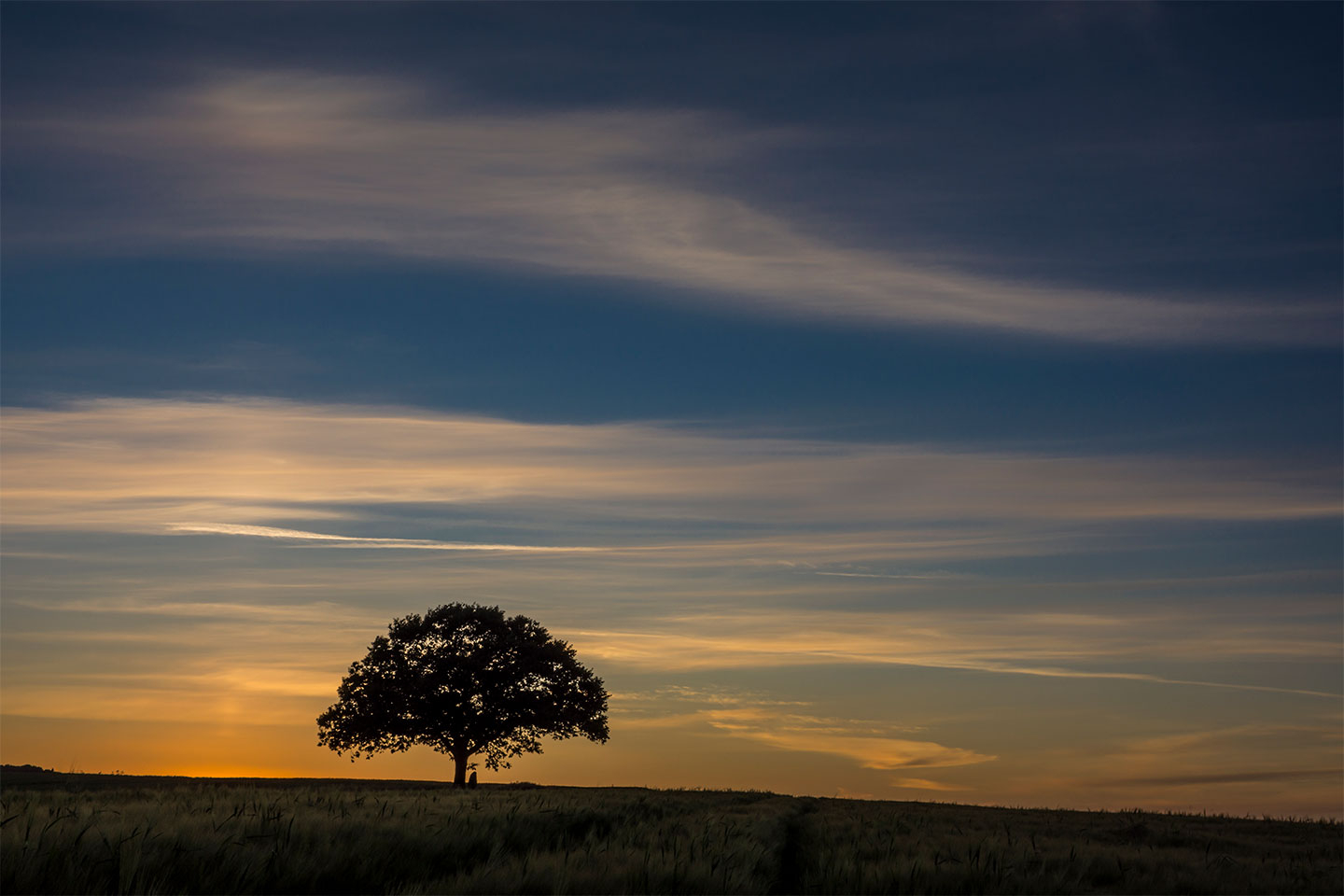 Vestbirk 2 af Kenneth Bagge