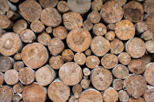 Image of Pile of wood II af Jakub Stodulski