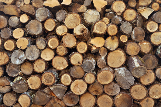 Image of Pile of wood af Jakub Stodulski