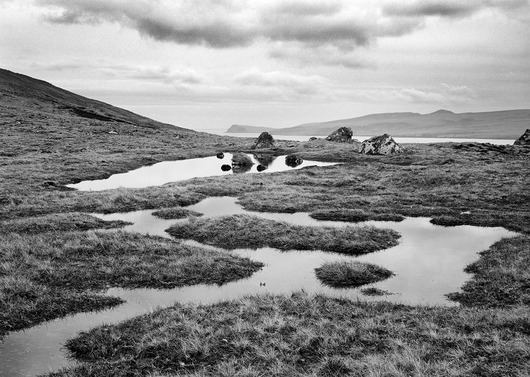 Image of Sandoey af Peter M Madsen
