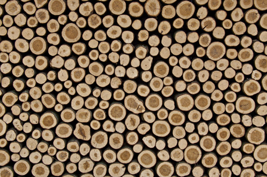 Image of Wooden af Kirsten Stigsgaard