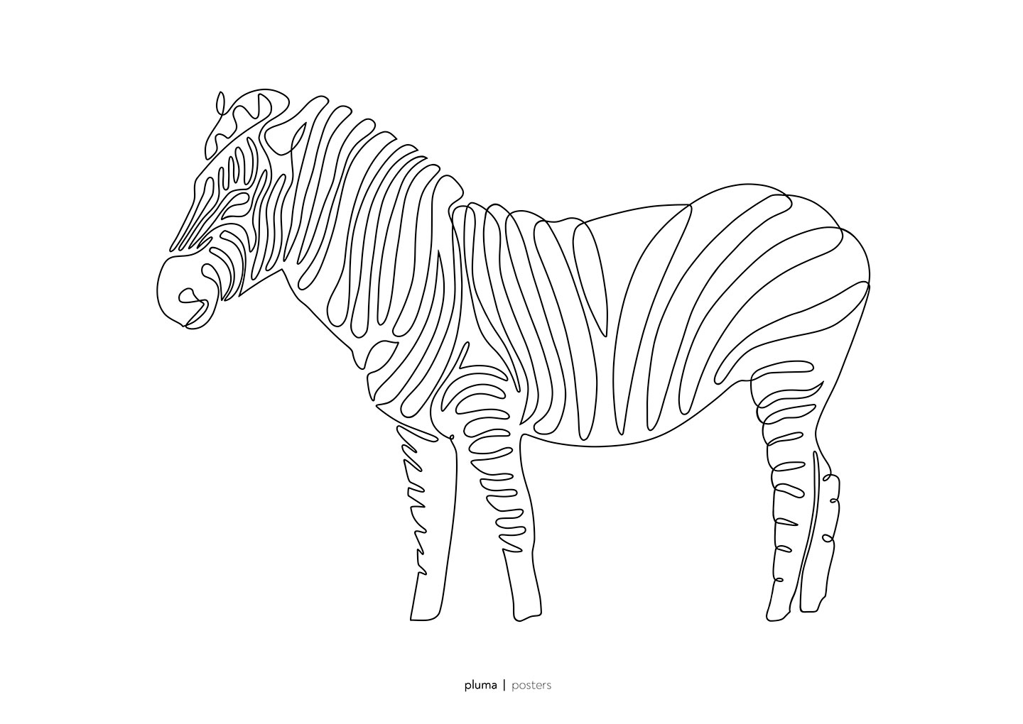 Billede af Zebra af Pluma Posters