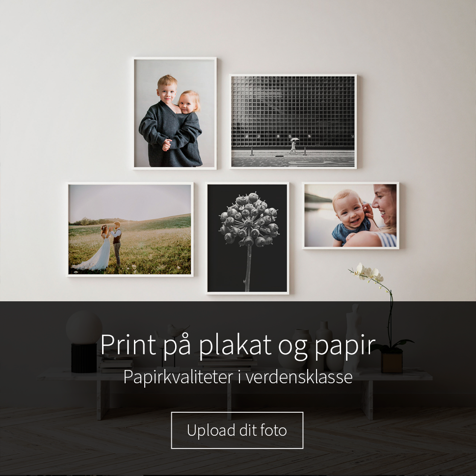 Majroe At lyve Farvel Printet fotoplakat i høj kvalitet med stærke priser - vælg selv motiv -  Illux.dk