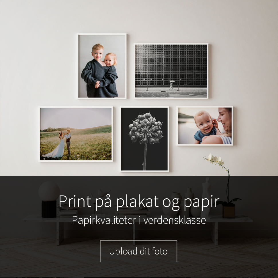 Printet fotoplakat i høj kvalitet priser - vælg selv motiv - Illux.dk